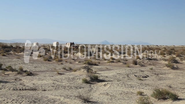 Wagons Crossing Desert