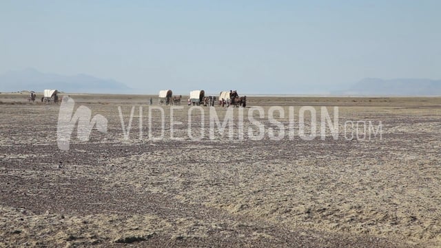 Wagons Crossing Playa 07