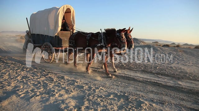 Wagons Dust Sunset 04