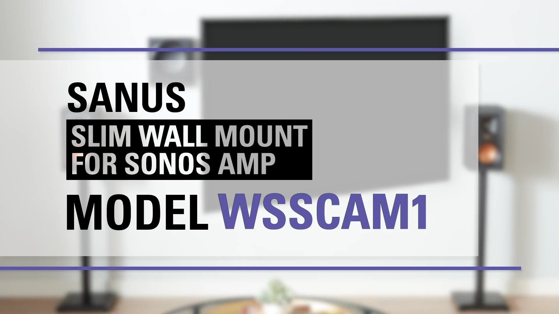 Sanus sonos best sale amp mount