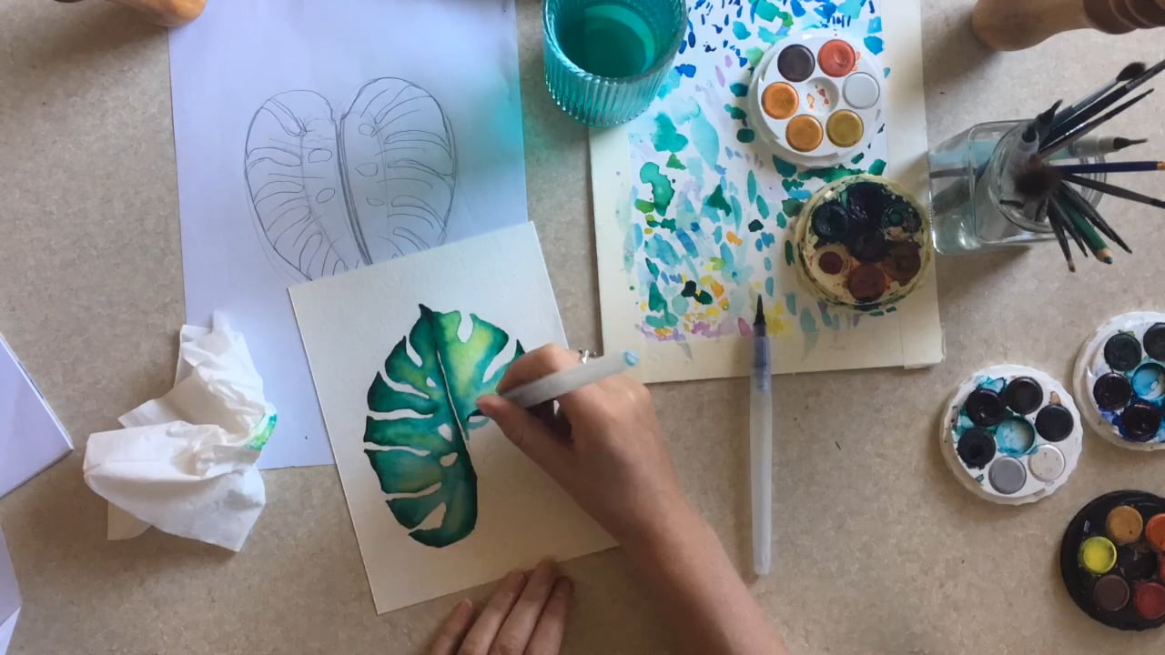 Monstera leaf timelapse on Vimeo