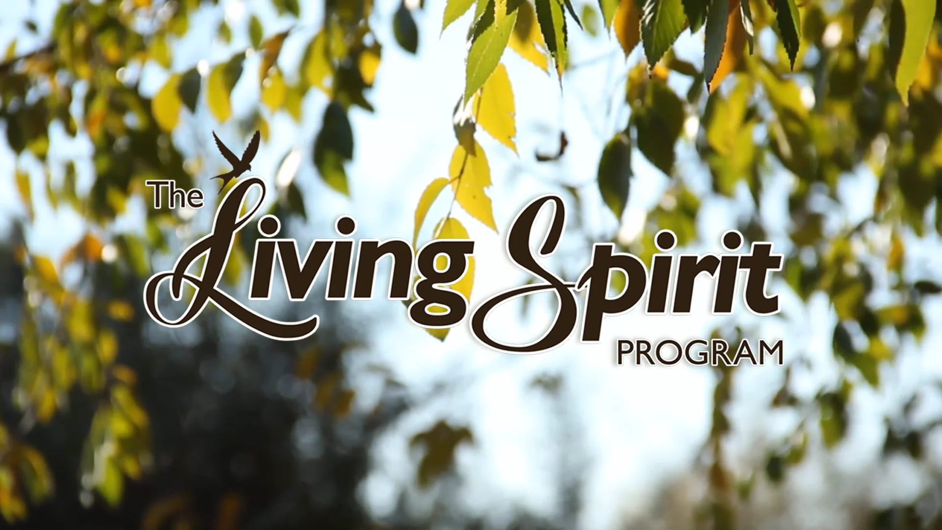 The Living Spirit Online Program with James Pask on Vimeo