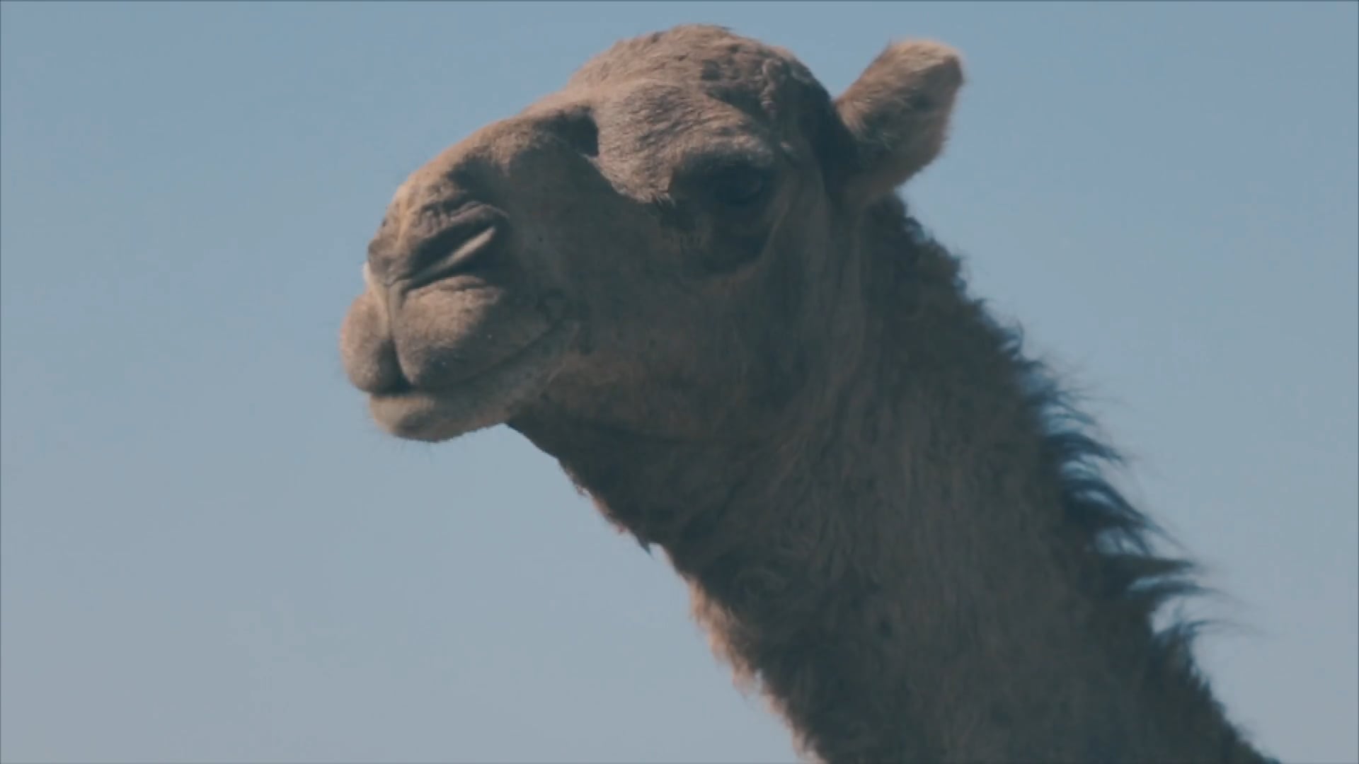 MARRUECOS