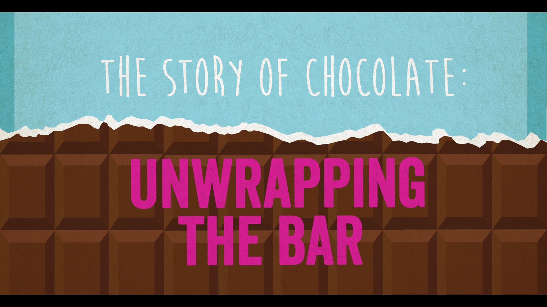 The Story of Chocolate Unwrapping the Bar