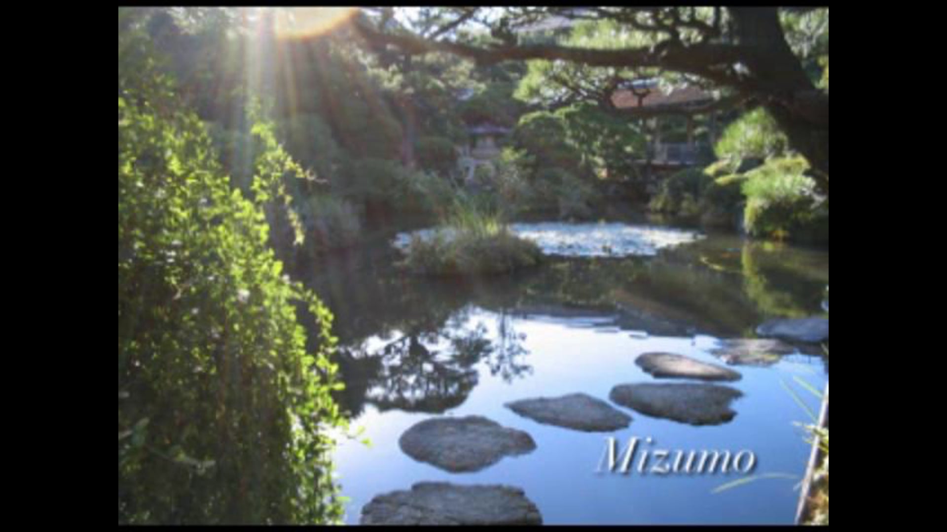 Mizumo