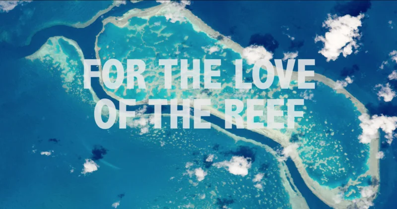 Love on the Reef