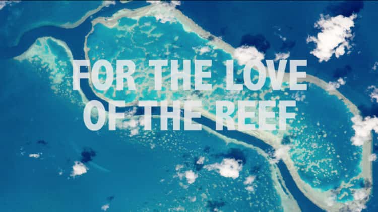 Love on the Reef