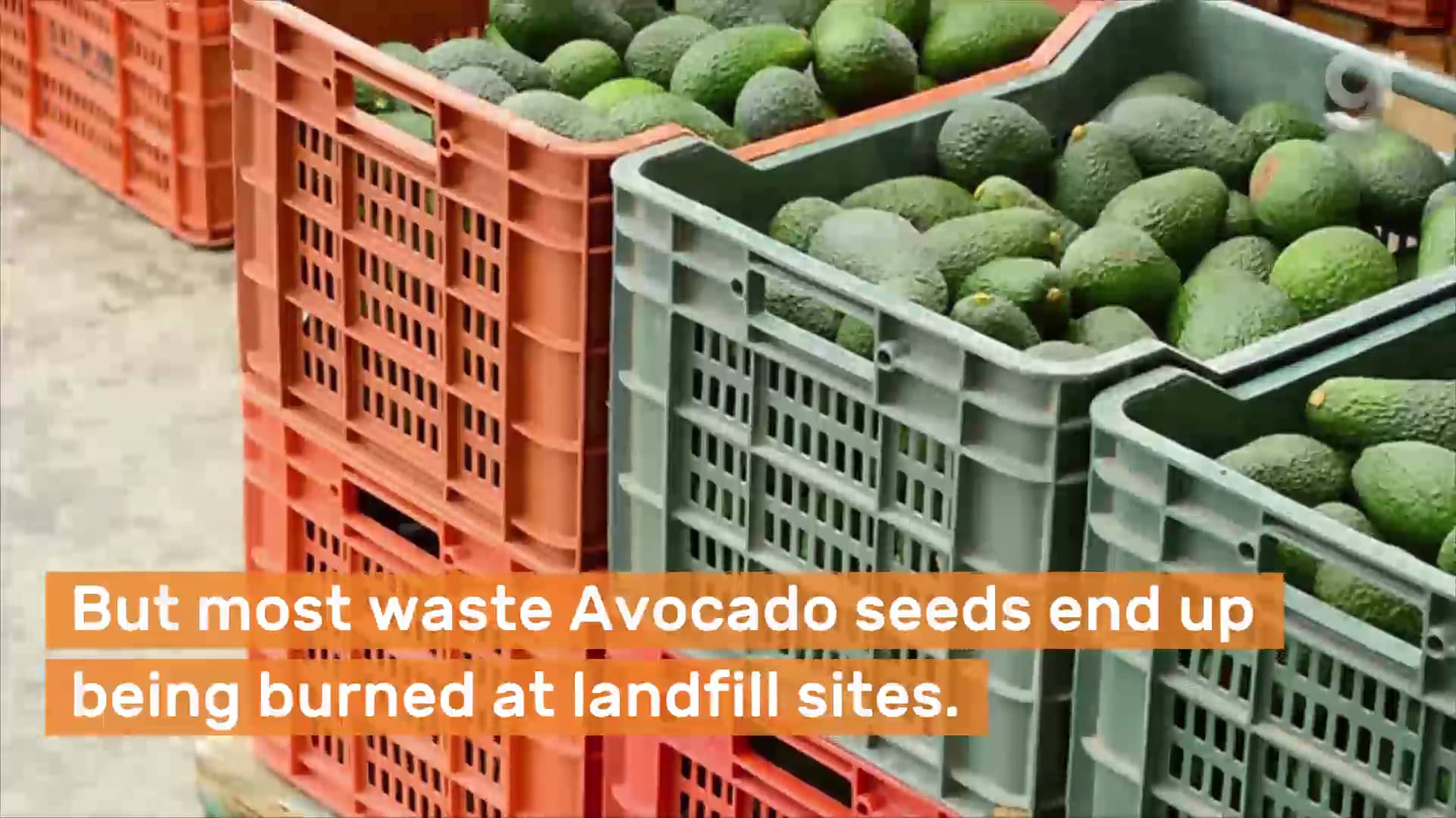 Bioplastics from waste avocados seeds on Vimeo