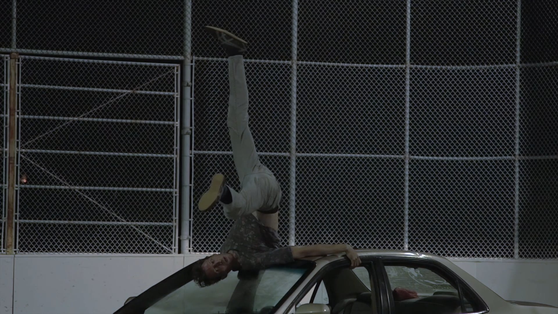 Auto-Fiction (Intégral)