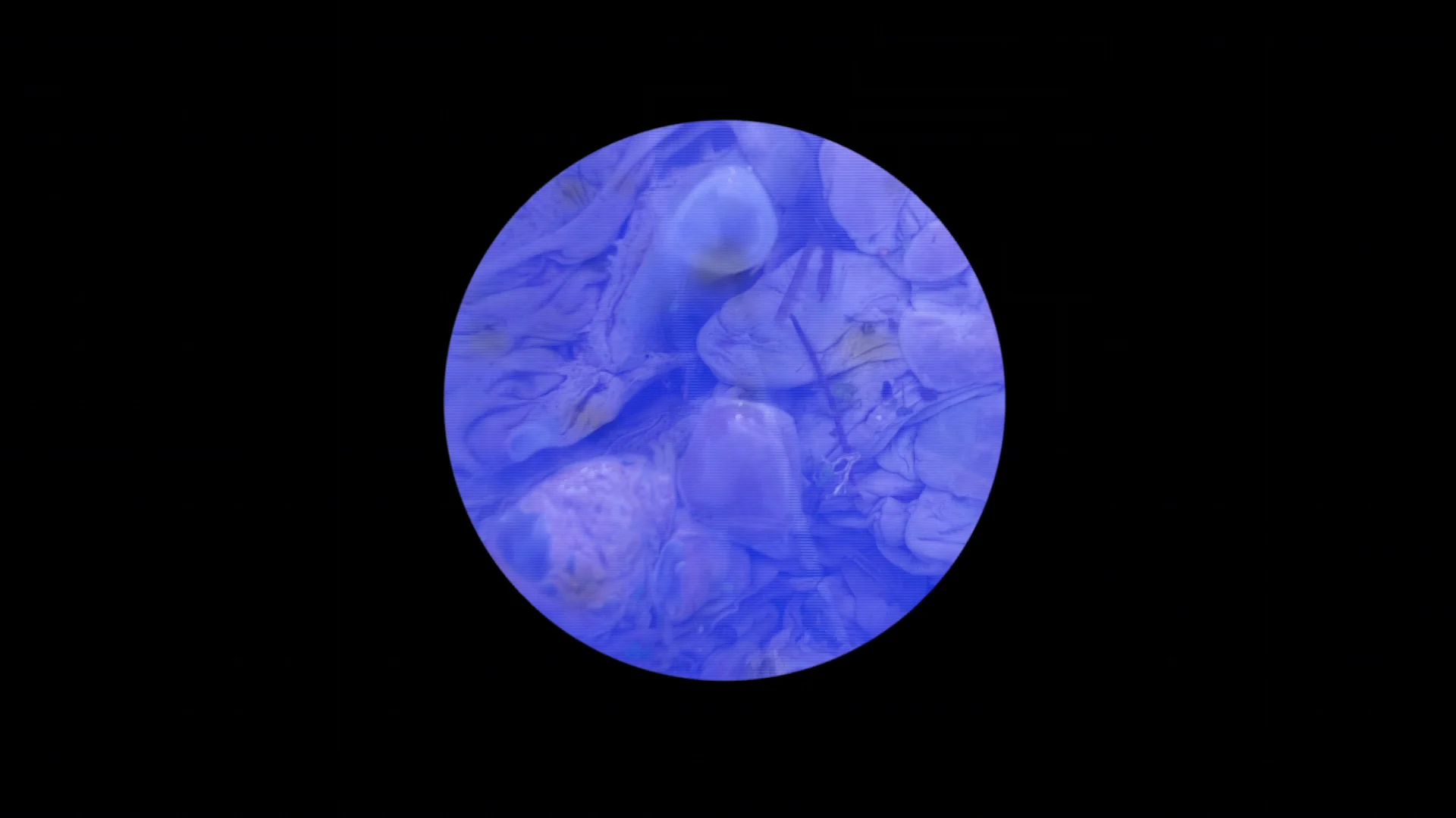 Adaequatio Intellectus et Rei on Vimeo