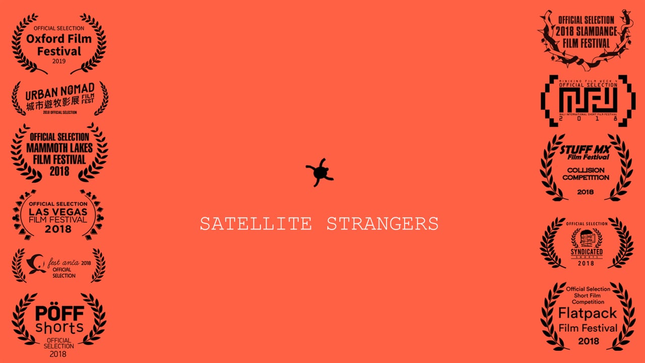 Screenshot of Satellite Strangers