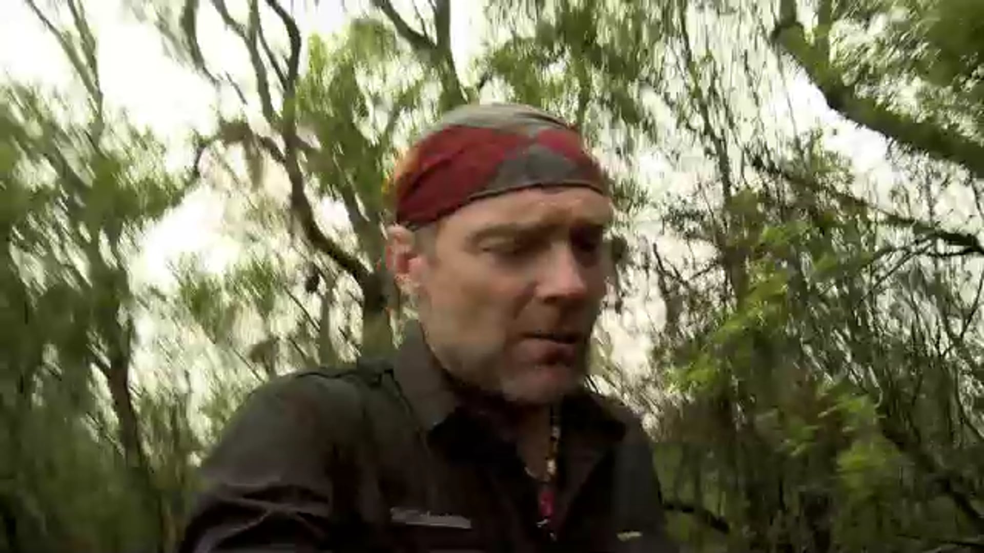 Geico+Survivorman