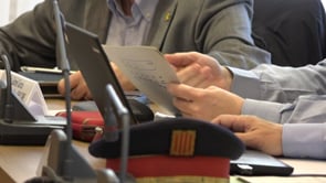 Baixen els robatoris amb força