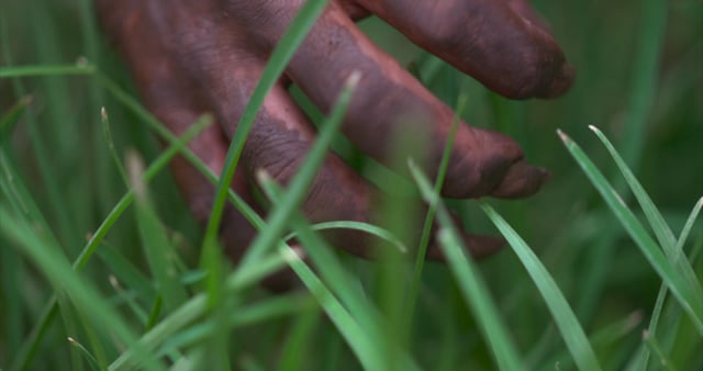 Wild Nebuchadnezzar Hands Closeup T041