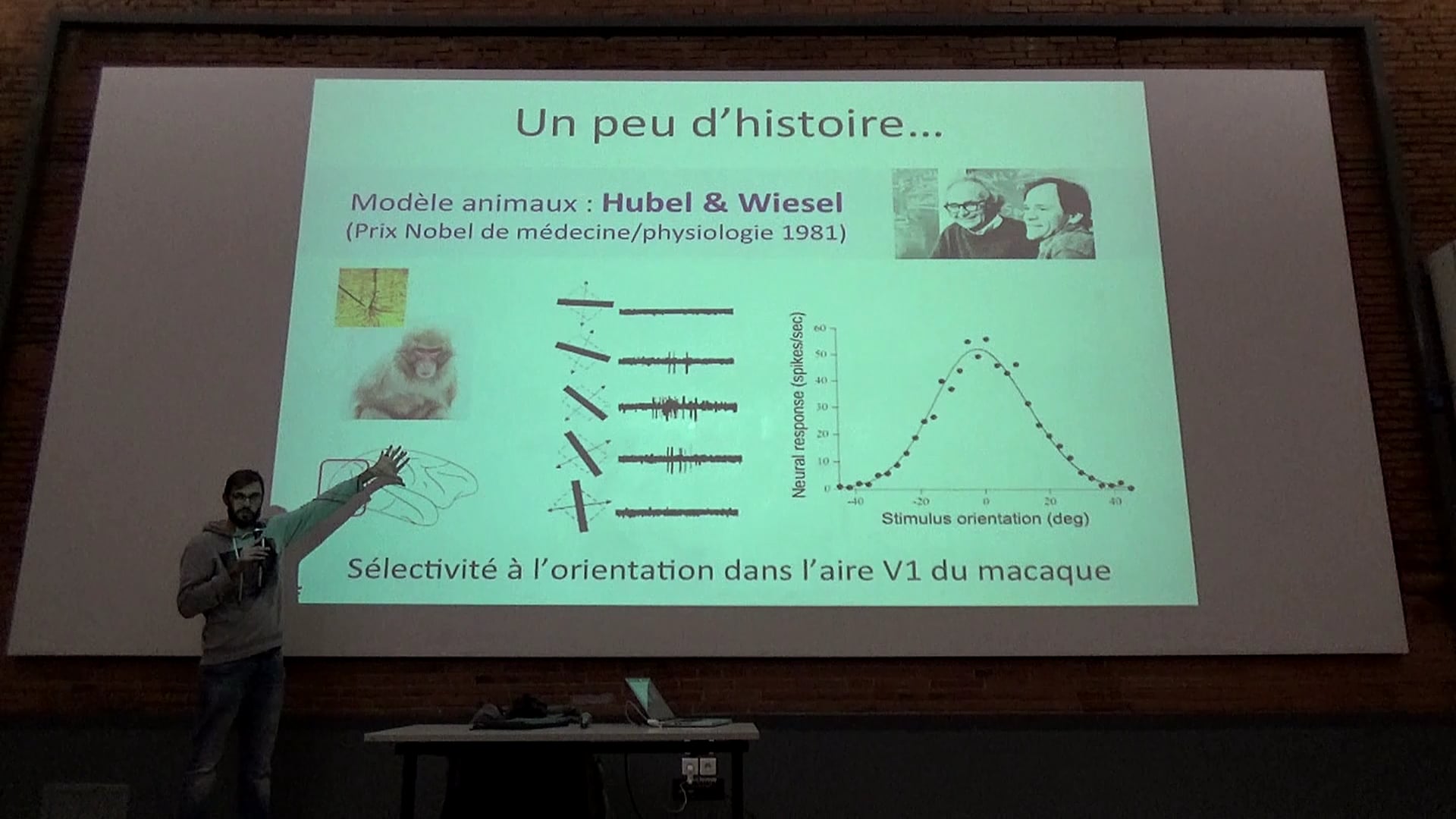 5 février 2019 Benoît Cottereau  CNRS Toulouse  Les mathématiques au secours des neurosciences en liaison avec le Cercle Sofia Kovalevskaïa