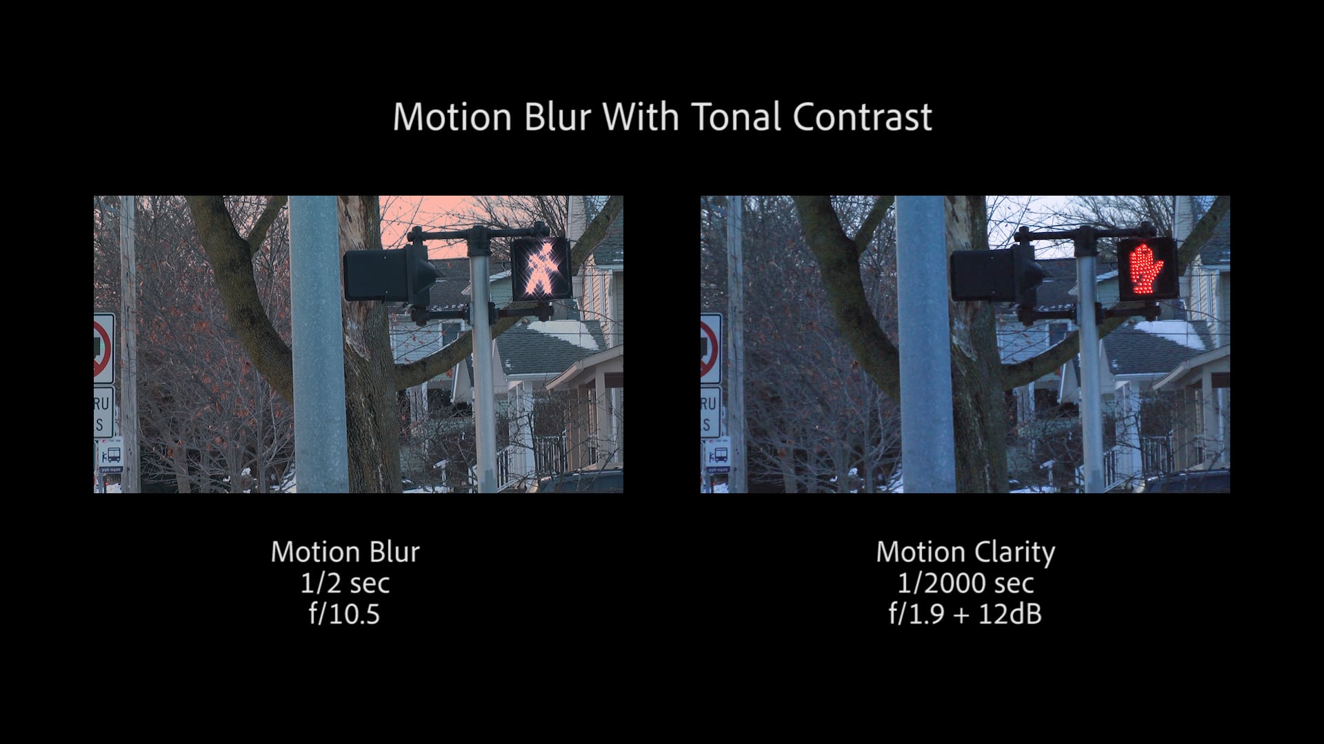 Video Samples 1