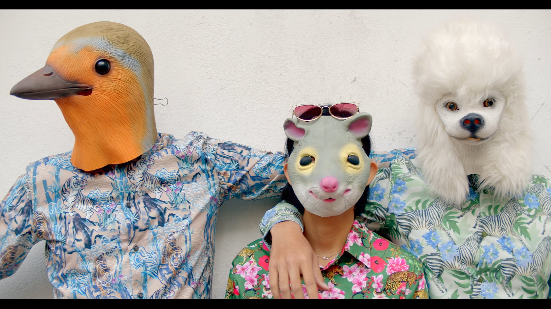 Street Animals