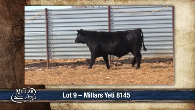 Lot #9 - MILLARS YETI 8145