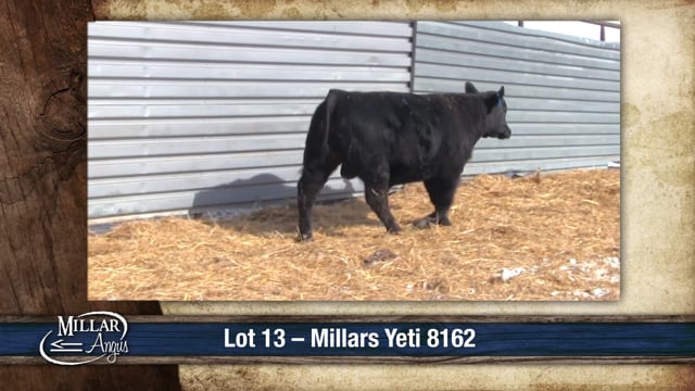 Lot #13 - MILLARS YETI 8162