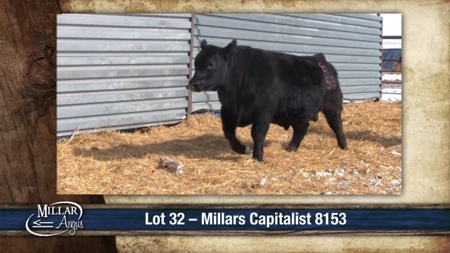 Lot #32 - MILLARS CAPITALIST 8153