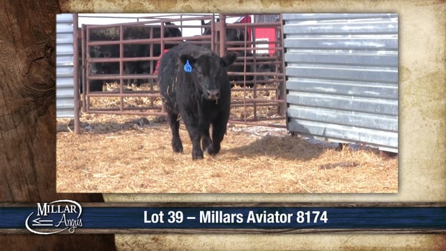 Lot #39 - MILLARS AVIATOR 8174