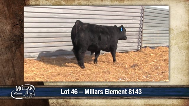 Lot #46 - MILLARS ELEMENT 8143