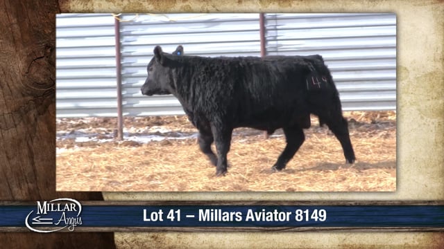 Lot #41 - MILLARS AVIATOR 8149