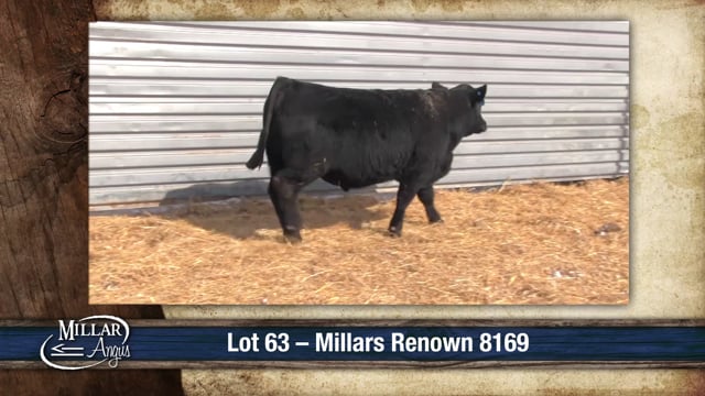 Lot #63 - MILLARS RENOWN 8169