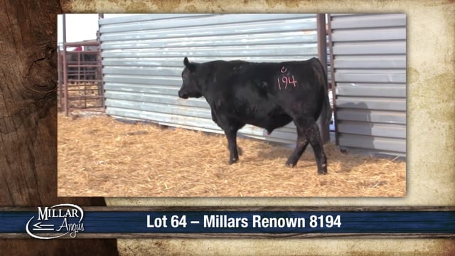 Lot #64 - MILLARS RENOWN 8194