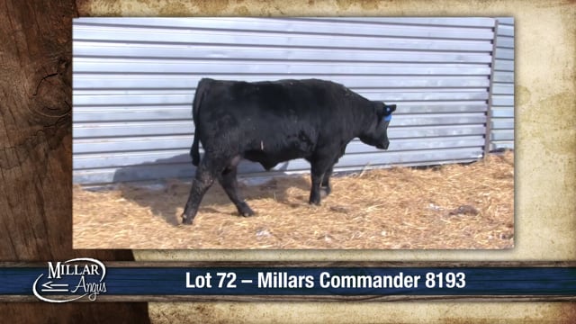 Lot #72 - MILLARS COMMANDER 8193