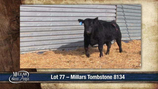 Lot #77 - MILLARS TOMBSTONE 8134