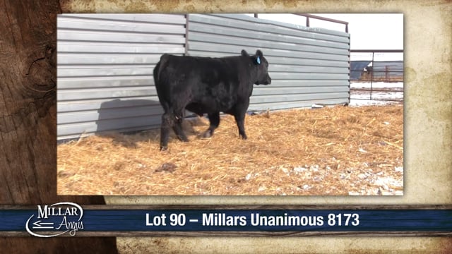 Lot #90 - MILLARS UNANIMOUS 8173
