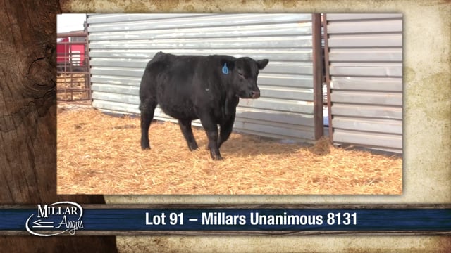 Lot #91 - MILLARS UNANIMOUS 8131
