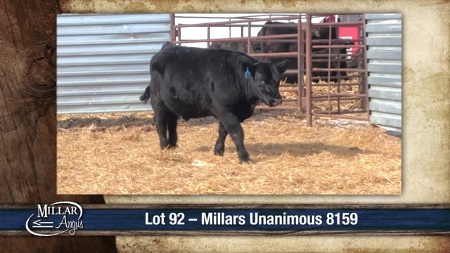 Lot #92 - MILLARS UNANIMOUS 8159