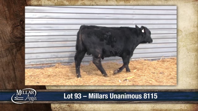 Lot #93 - MILLARS UNANIMOUS 8115