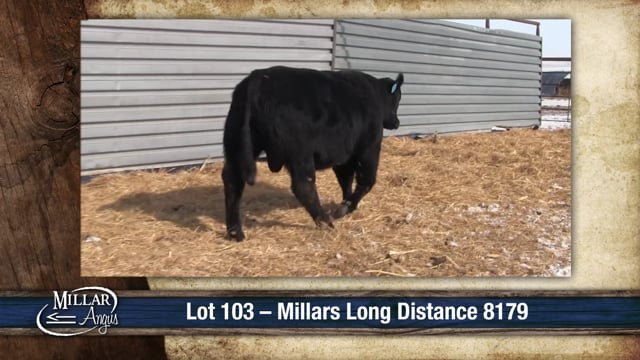Lot #103 - MILLARS LONG DISTANCE 8179