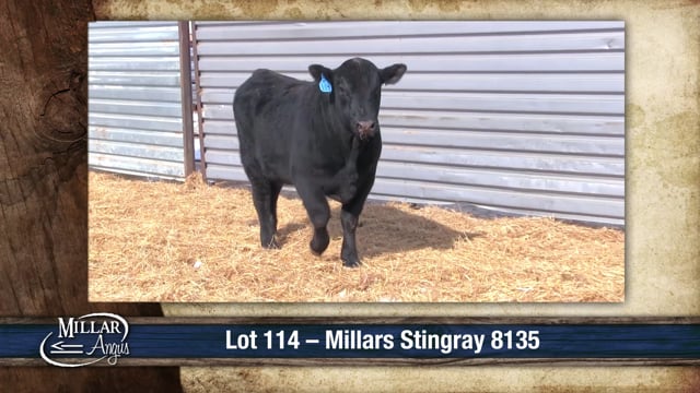 Lot #114 - MILLARS STINGRAY 8135