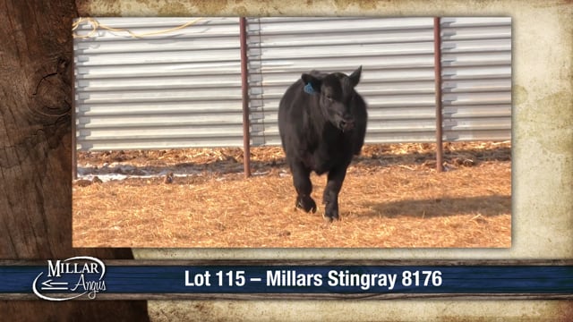 Lot #115 - MILLARS STINGRAY 8176
