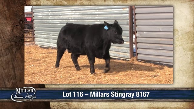 Lot #116 - MILLARS STINGRAY 8167