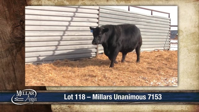 Lot #118 - MILLARS UNANIMOUS 7153