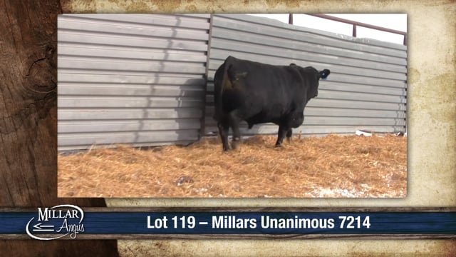 Lot #119 - MILLARS UNANIMOUS 7214