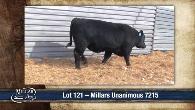 Lot #121 - MILLARS UNANIMOUS 7215