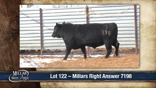 Lot #122 - MILLARS RIGHT ANSWER 7198