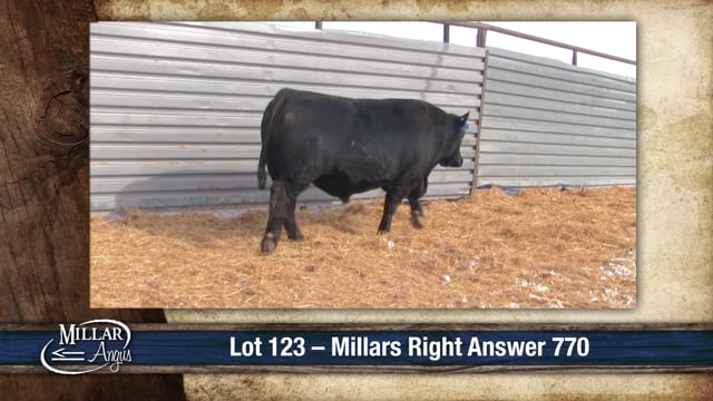 Lot #123 - MILLARS RIGHT ANSWER 770