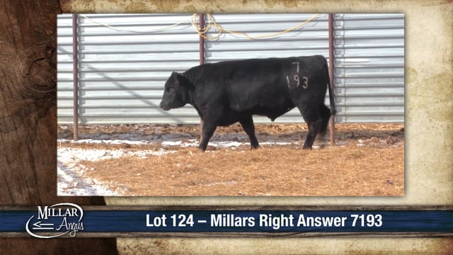 Lot #124 - MILLARS RIGHT ANSWER 7193