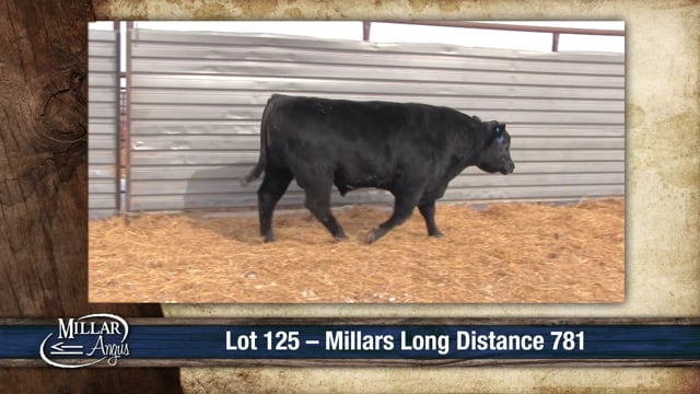 Lot #125 - MILLARS LONG DISTANCE 781