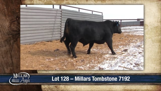 Lot #128 - MILLARS TOMBSTONE 7192