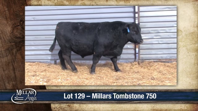 Lot #129 - MILLARS TOMBSTONE 750