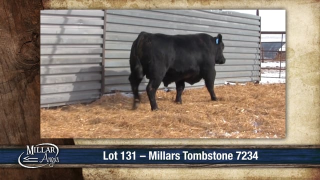 Lot #131 - MILLARS TOMBSTONE 7234