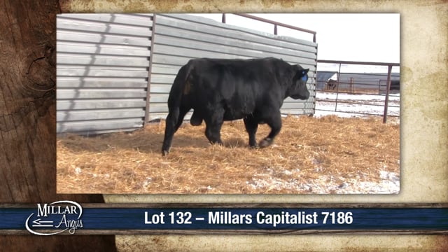 Lot #132 - MILLARS CAPITALIST 7186